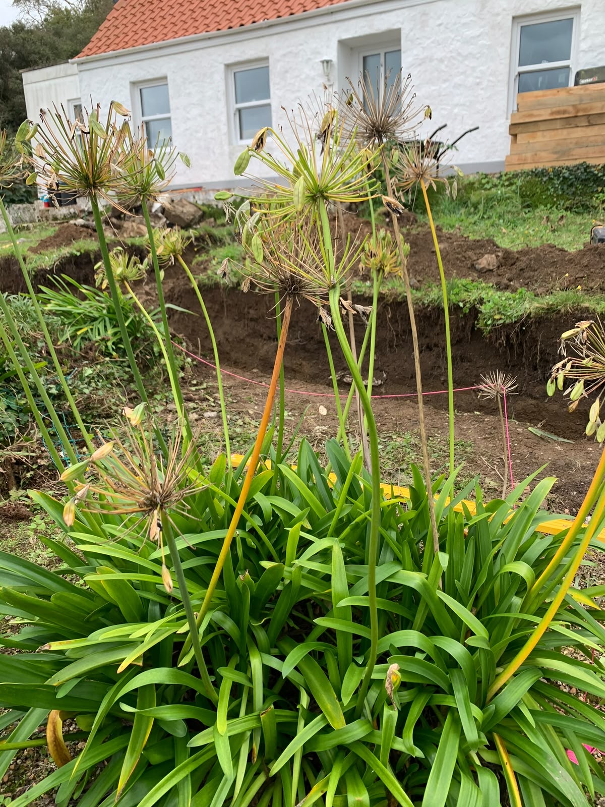 The original sloping garden with excavation underway